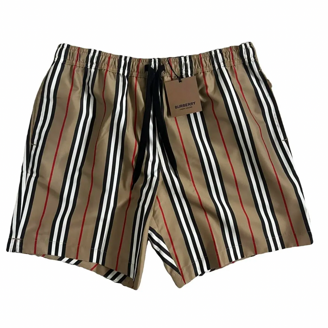 Burberry Swim Shorts