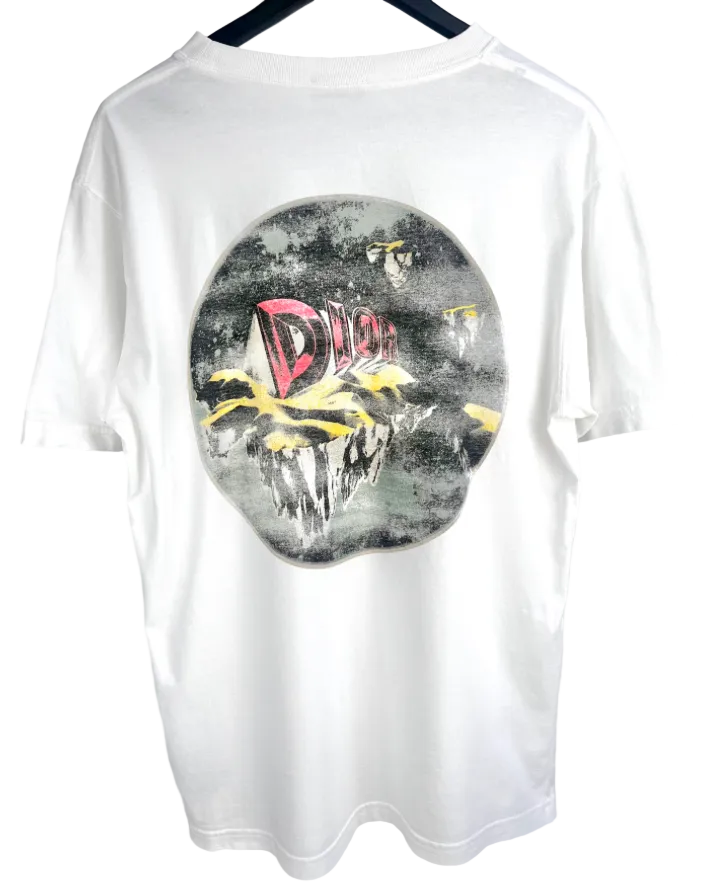 Dior Asterdior Logo T-Shirt