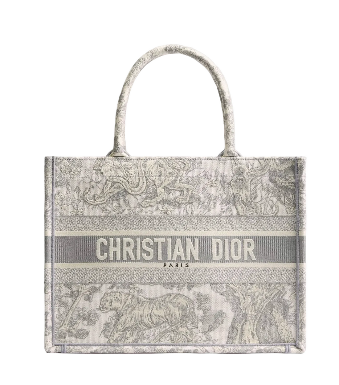 Dior Book Tote Bag Medium