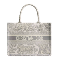 Dior Book Tote Bag Medium