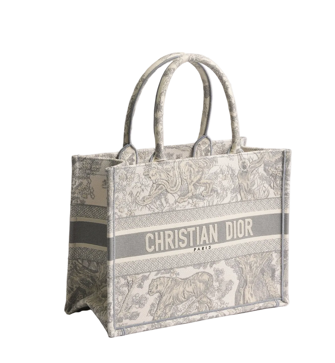 Dior Book Tote Bag Medium