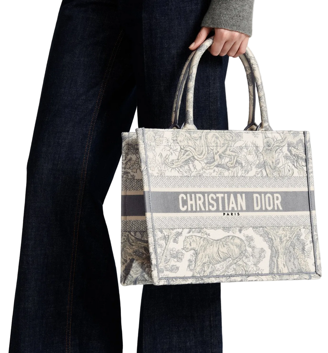 Dior Book Tote Bag Medium