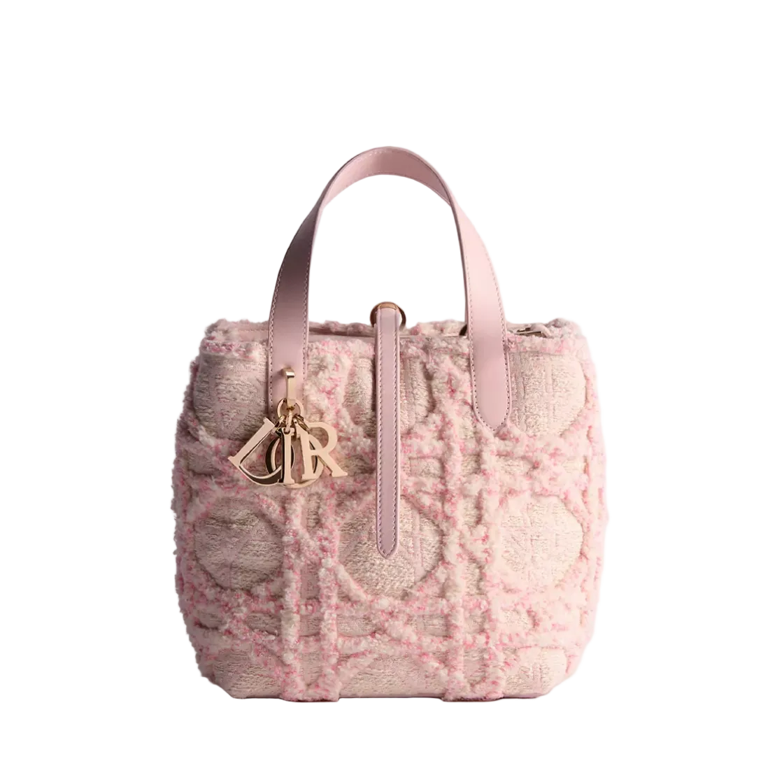 Dior Small Toujours Vertical Tote Bag
