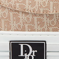 Dior B23 Oblique Skate Sneaker