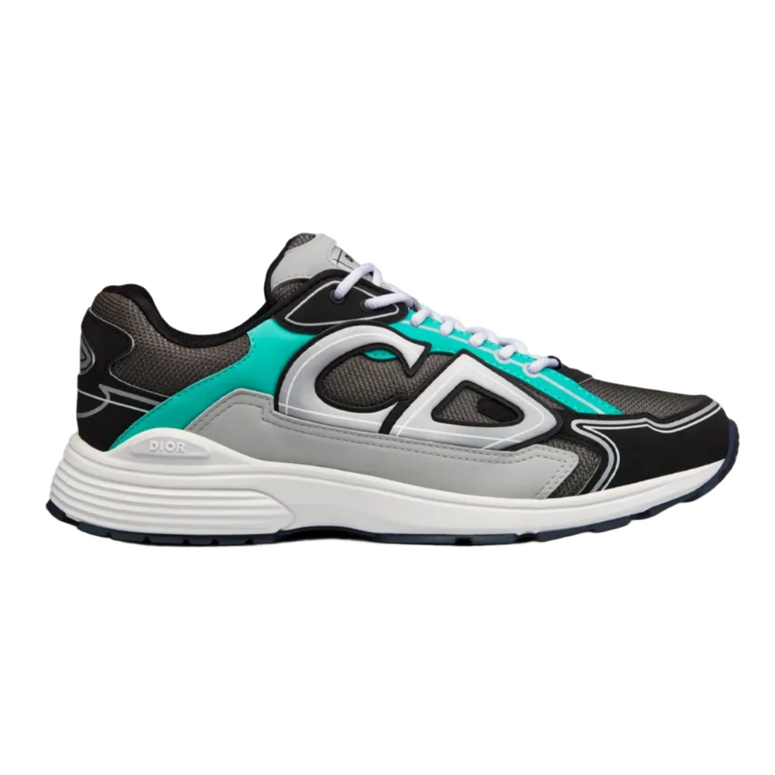 Dior B30 Low Top Sneaker
